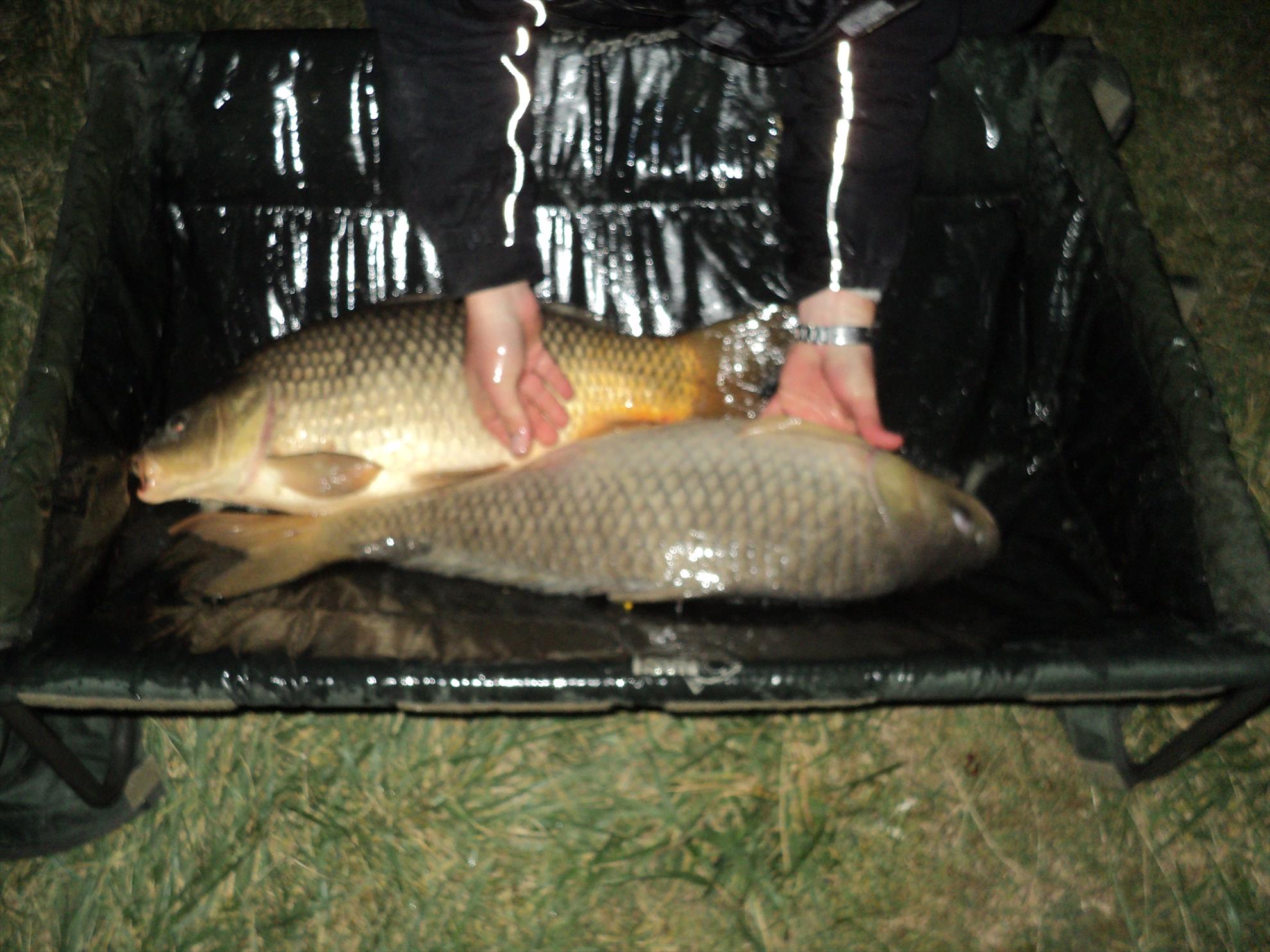 pescuit MOARA VLASIEI - dsc02697.JPG